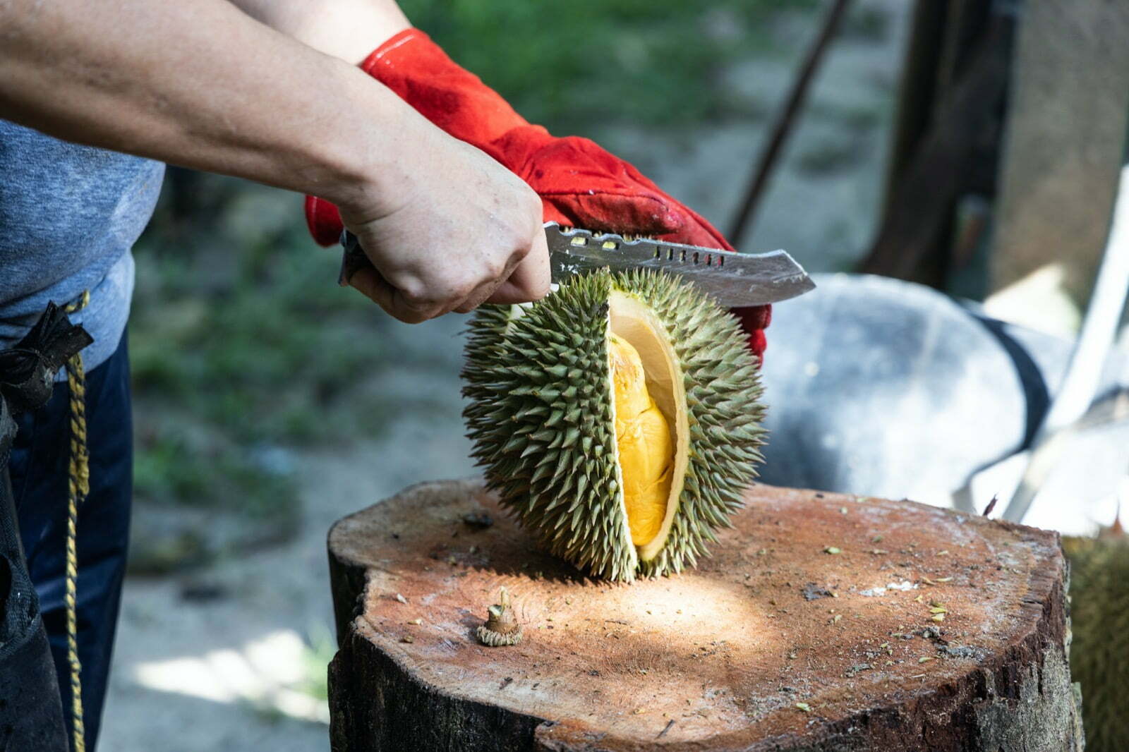 Durian Myths Debunked!